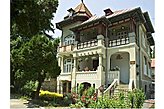 Pensjonat rodzinny Băile Govora Rumunia